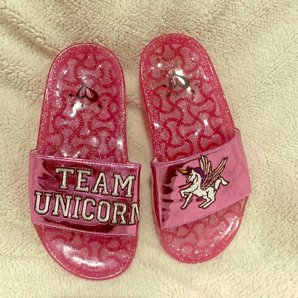 Team Unicorn Slides